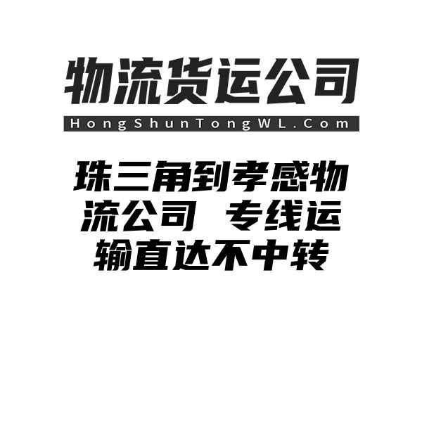 珠三角到孝感物流公司 专线运输直达不中转