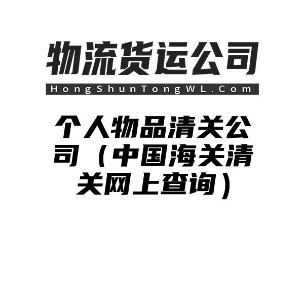 个人物品清关公司（中国海关清关网上查询）