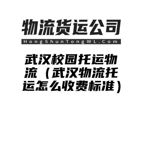 武汉校园托运物流（武汉物流托运怎么收费标准）