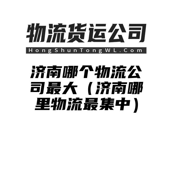 济南哪个物流公司最大（济南哪里物流最集中）