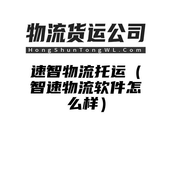 速智物流托运（智速物流软件怎么样）